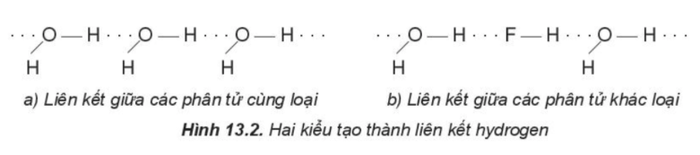 Liên kết hydrogen và tương tác van der Waals